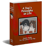 Dog's Philosophy on Life