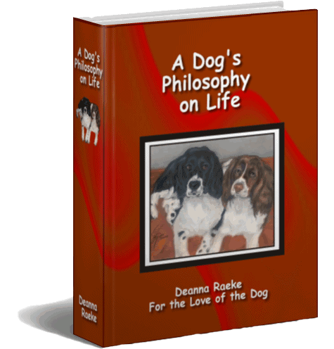 A Dog's Philosophy on Life