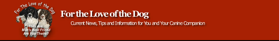 For the Love of the Dog