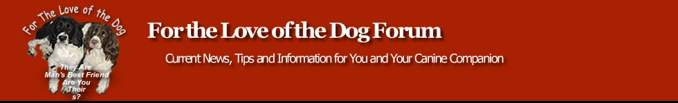 Forum Logo